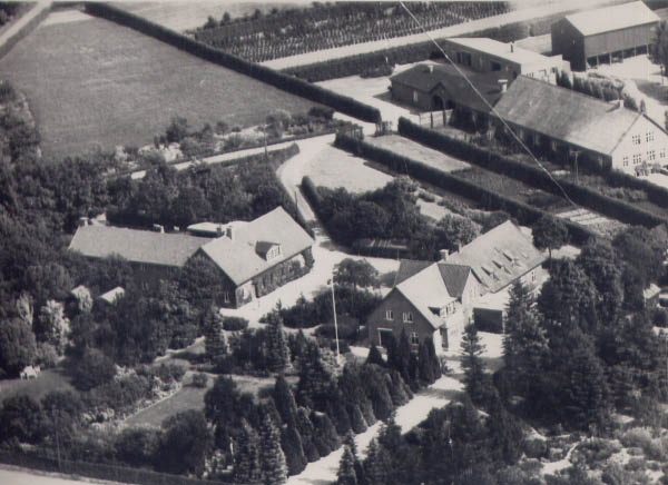 1941