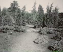 botanisk have 1947, 3