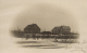 planteskolen 1923